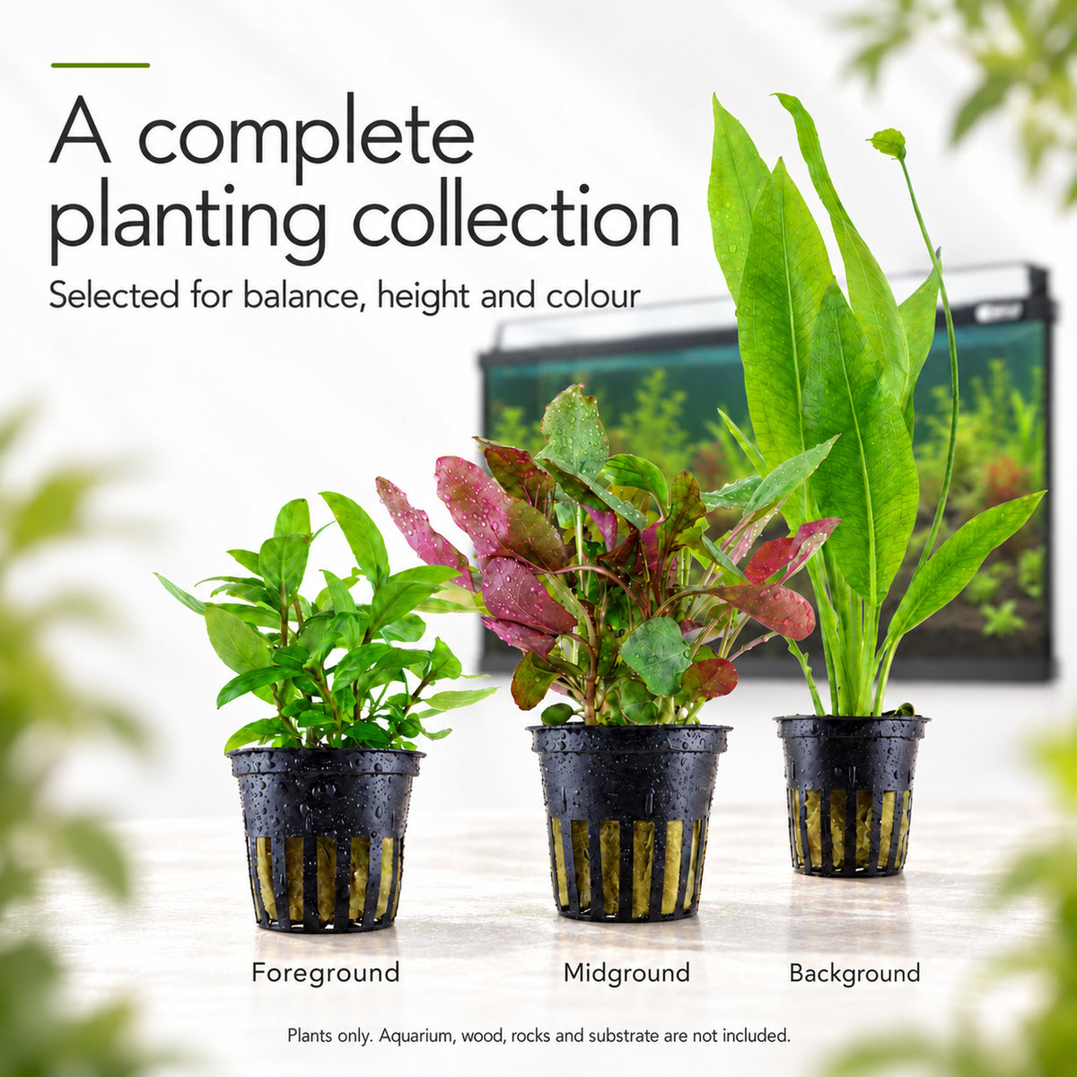 Aqua One Horizon 130 Aquarium Plant Collection