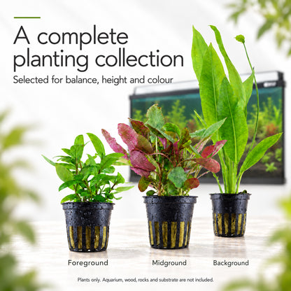 Aqua One Horizon 130 Aquarium Plant Collection