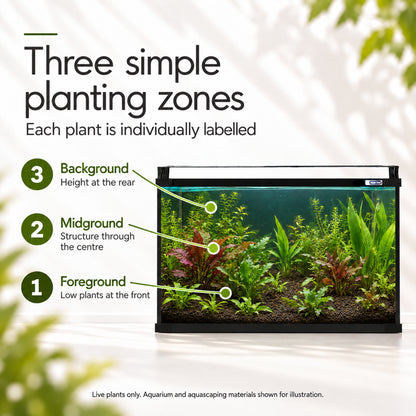Aqua One Horizon 130 Aquarium Plant Collection