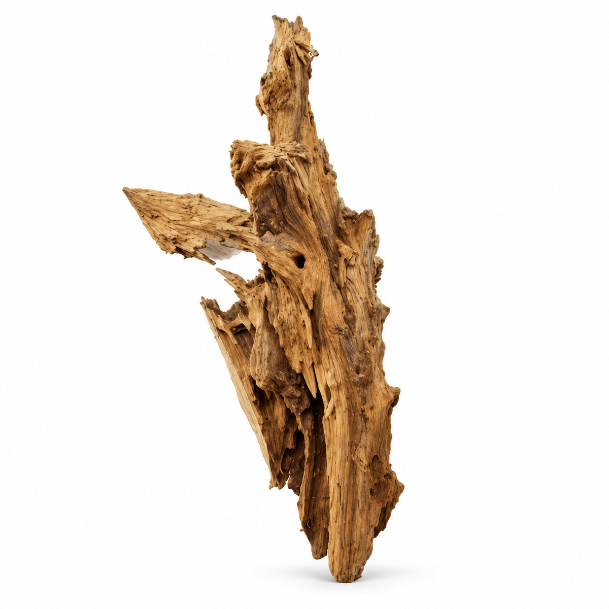 One piece of aquarium driftwood, XL 40-50cm
