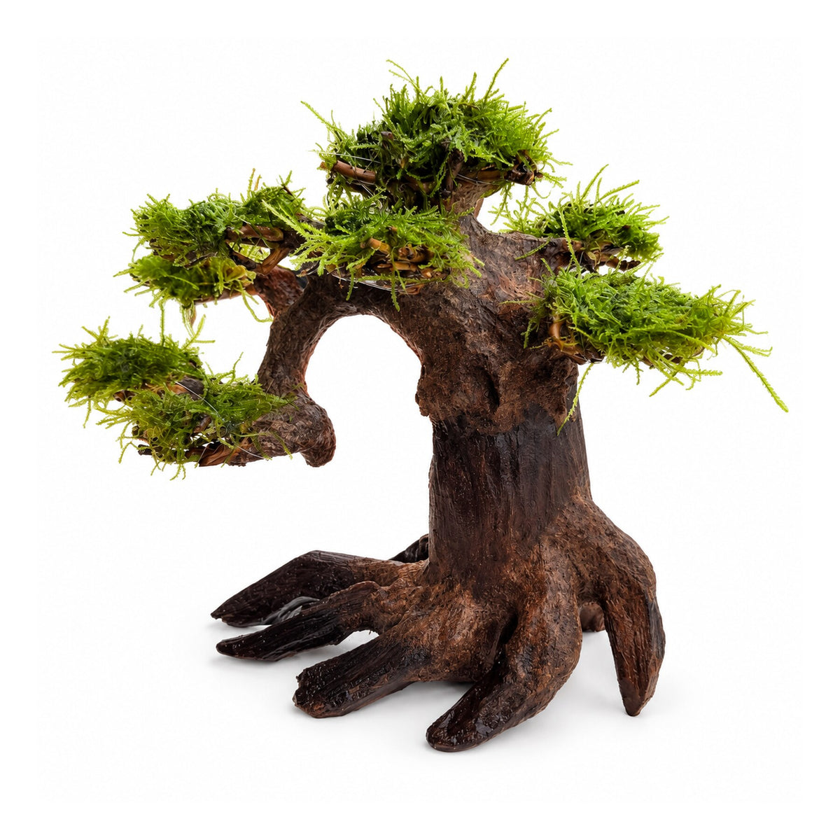Bonsai Tree with Moss - Medium Size