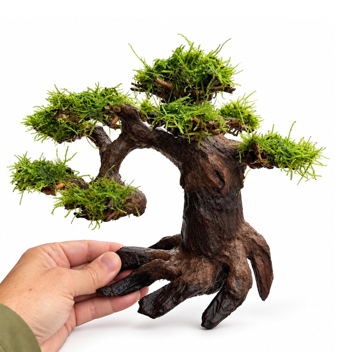 Bonsai Tree with Moss - Medium Size