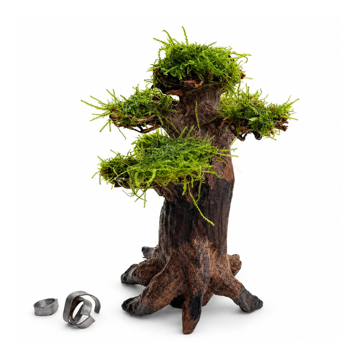 Bonsai Tree with Moss - Medium Size