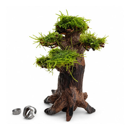 Bonsai Tree with Moss - Medium Size