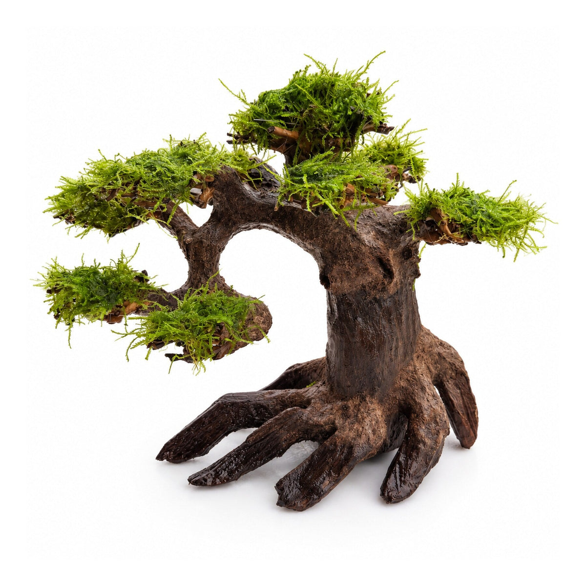 Bonsai tree with moss - Medium - view 4