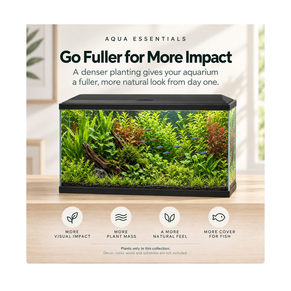 Ciano Aqua 60 Aquarium Plant Collection