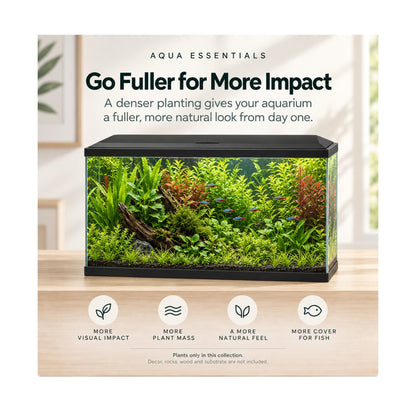 Ciano Aqua 60 Aquarium Plant Collection