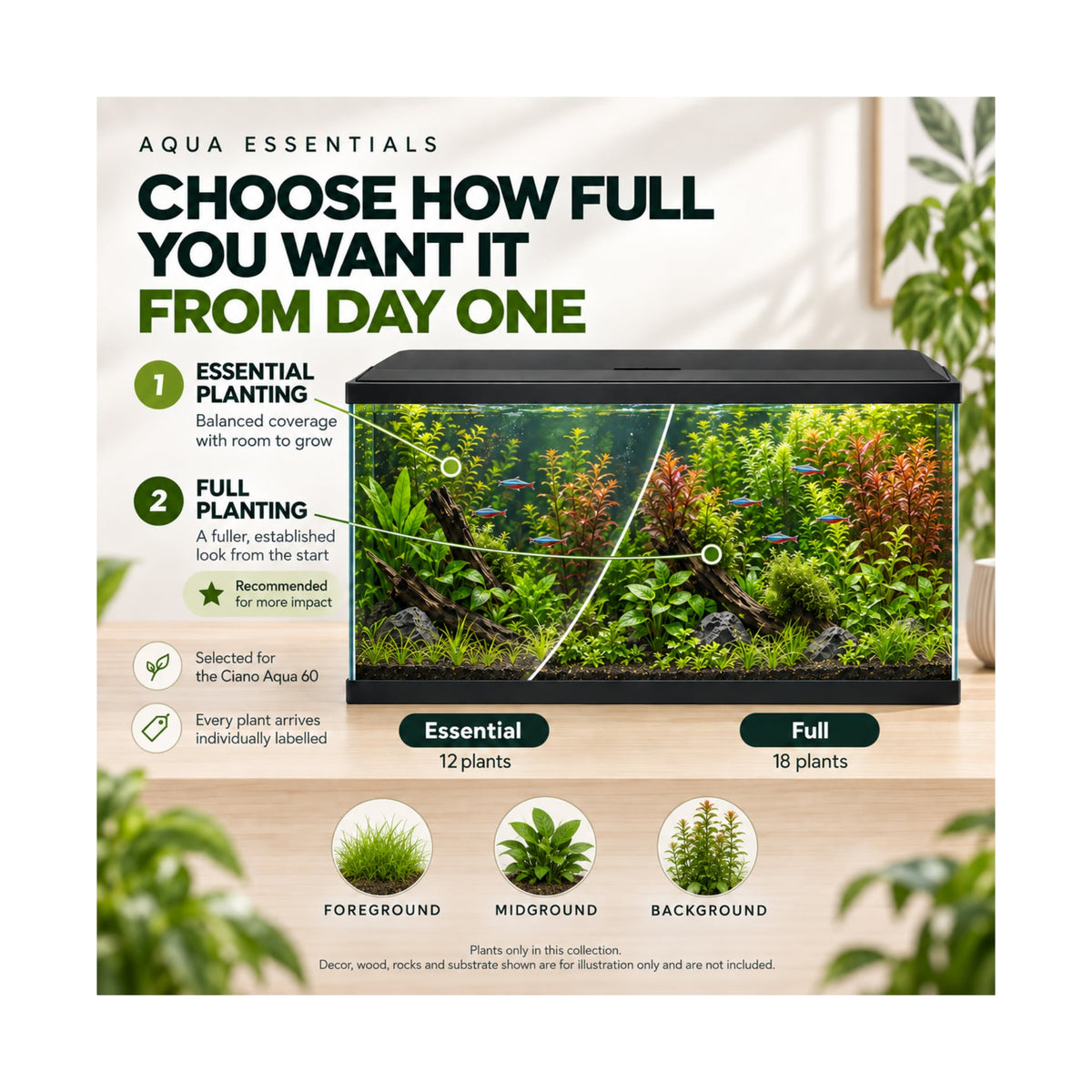 Ciano Aqua 60 Aquarium Plant Collection