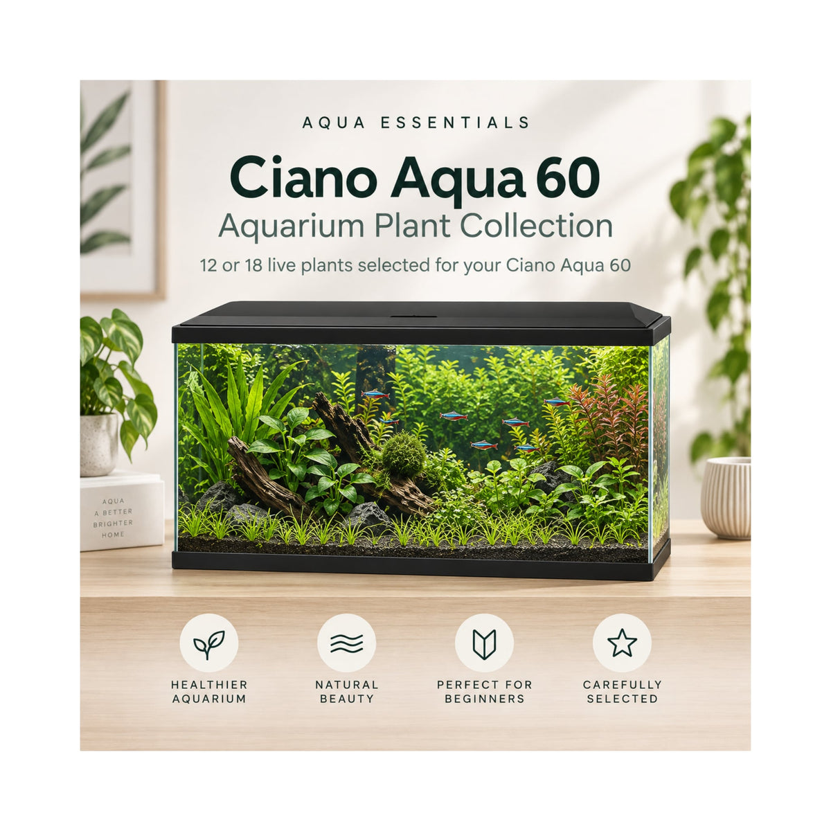 Ciano Aqua 60 Aquarium Plant Collection