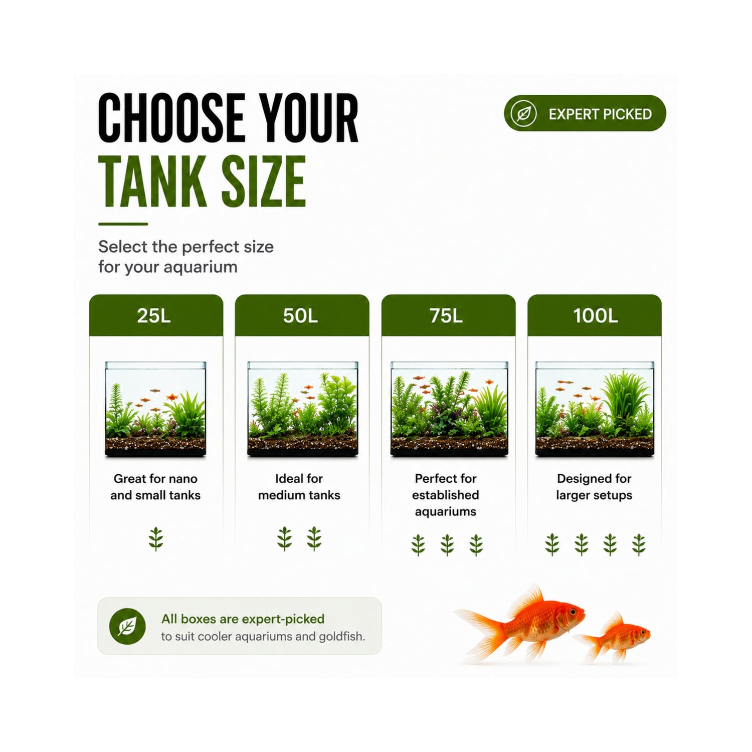 Coldwater Box of Aquarium Plants