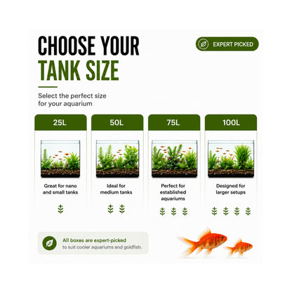 Coldwater Box of Aquarium Plants