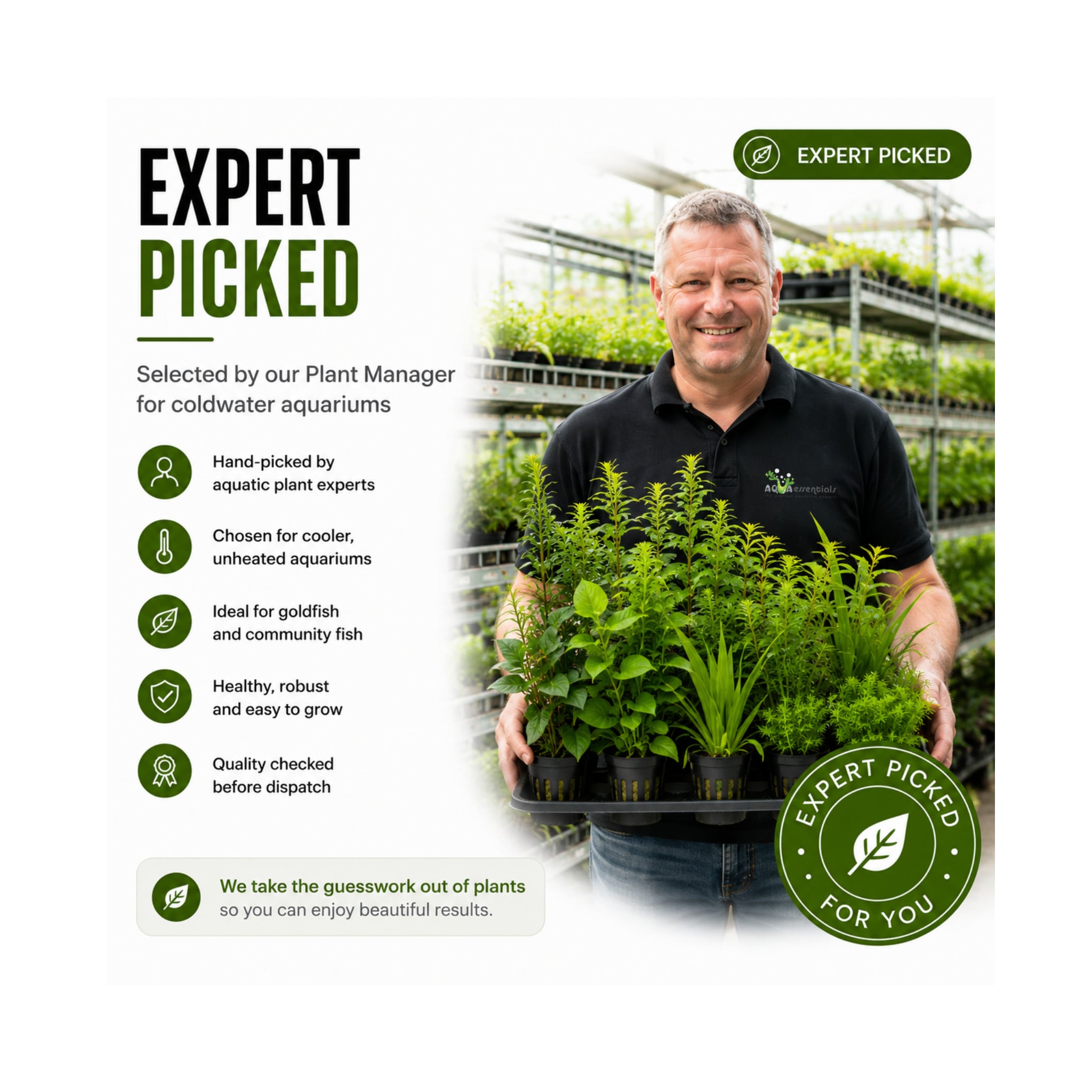 Coldwater Box of Aquarium Plants