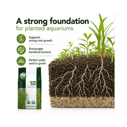 Colombo Nutri Base 5L - Aquarium Plant Substrate