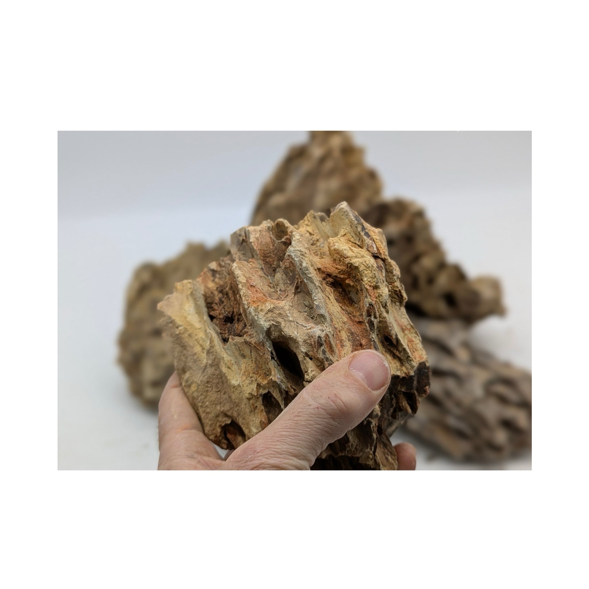 Dragon Stone Rock - 3kg