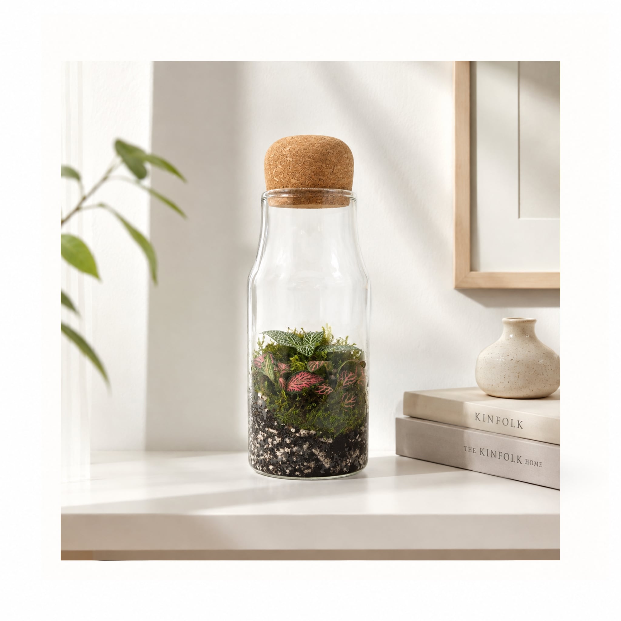 Fittonia Closed Bottle Terrarium