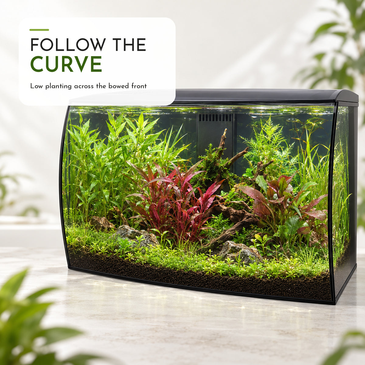 Fluval Flex 123 Aquarium Plant Collection