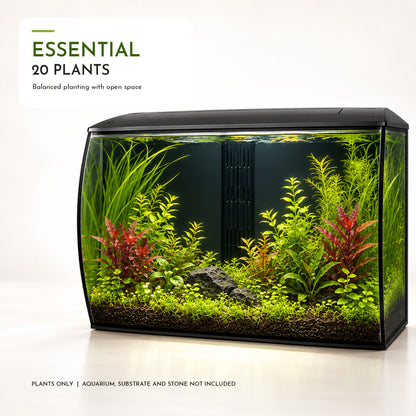 Fluval Flex 123 Aquarium Plant Collection