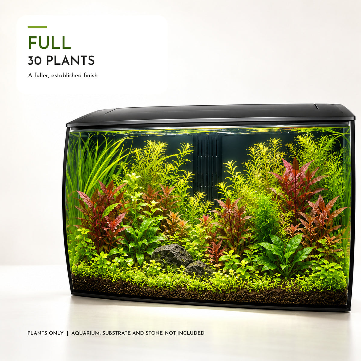 Fluval Flex 123 Aquarium Plant Collection