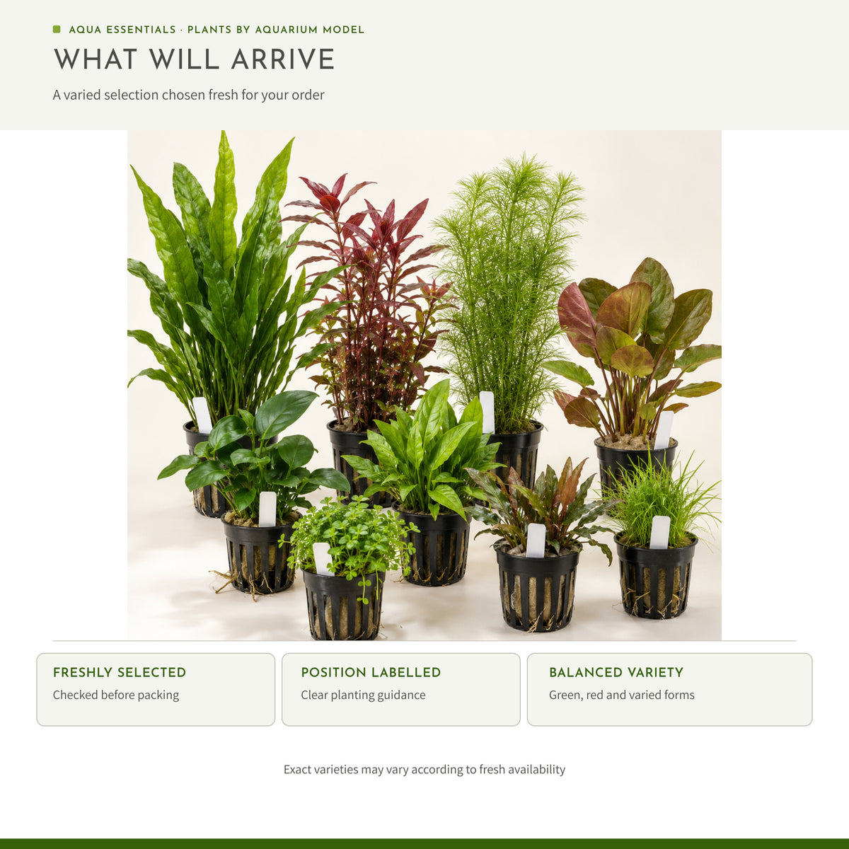 Fluval Flex 57 Aquarium Plant Collection