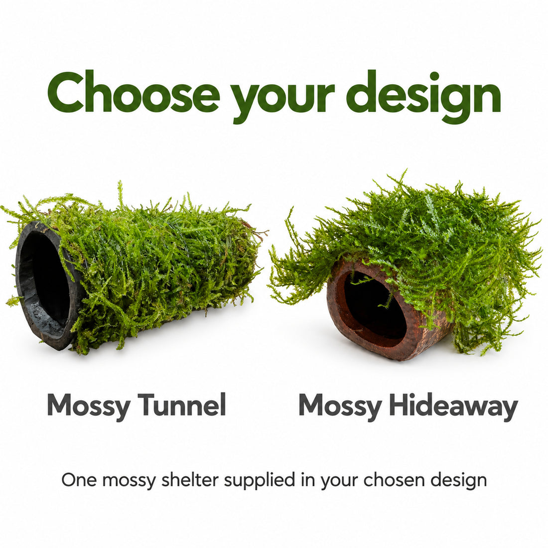 Java Moss Fish House