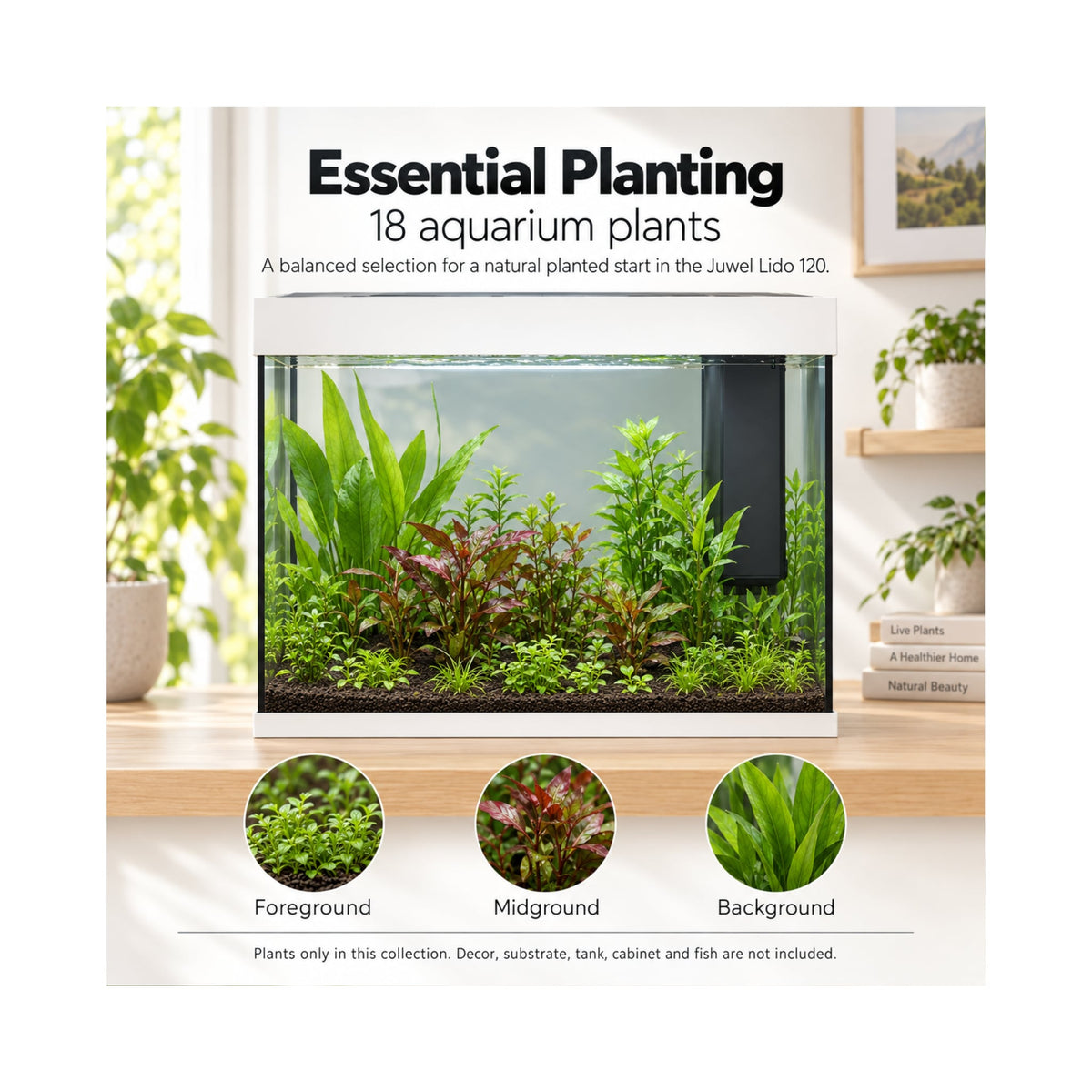 Juwel Lido 120 Aquarium Plant Collection