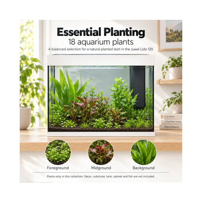 Juwel Lido 120 Aquarium Plant Collection