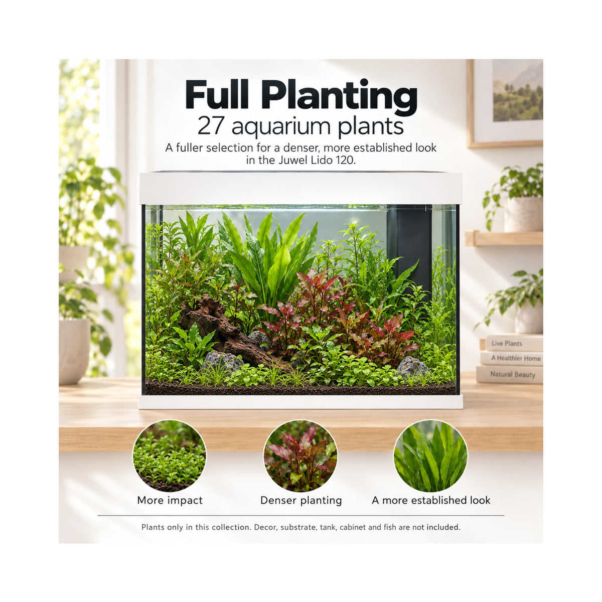Juwel Lido 120 Aquarium Plant Collection