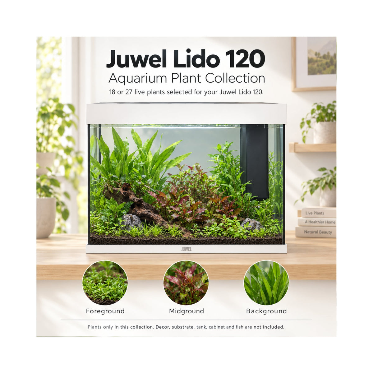 Juwel Lido 120 Aquarium Plant Collection