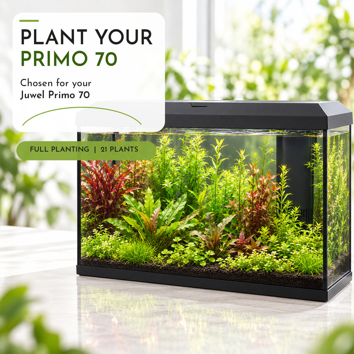 Juwel Primo 70 Aquarium Plant Collection