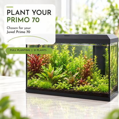 Juwel Primo 70 Aquarium Plant Collection