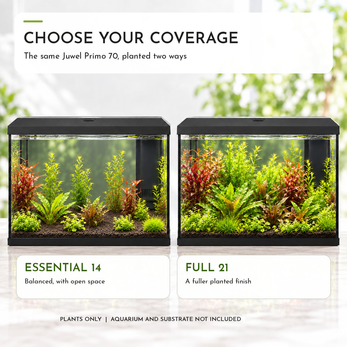 Juwel Primo 70 Aquarium Plant Collection