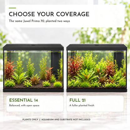 Juwel Primo 70 Aquarium Plant Collection