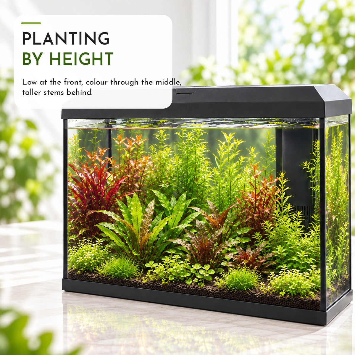 Juwel Primo 70 Aquarium Plant Collection