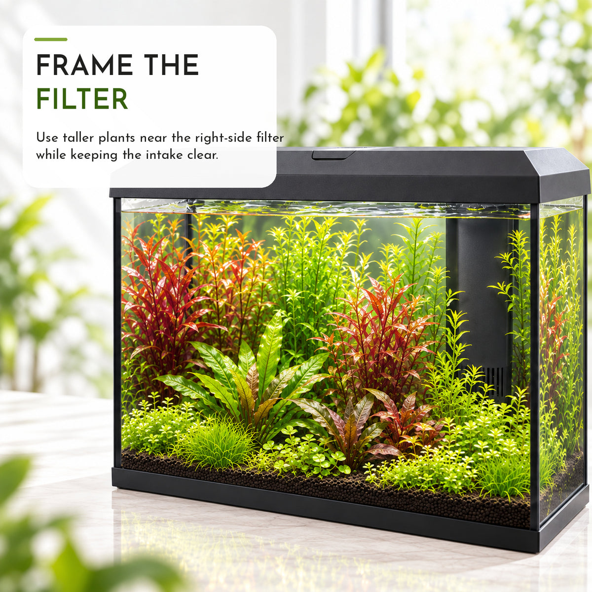 Juwel Primo 70 Aquarium Plant Collection
