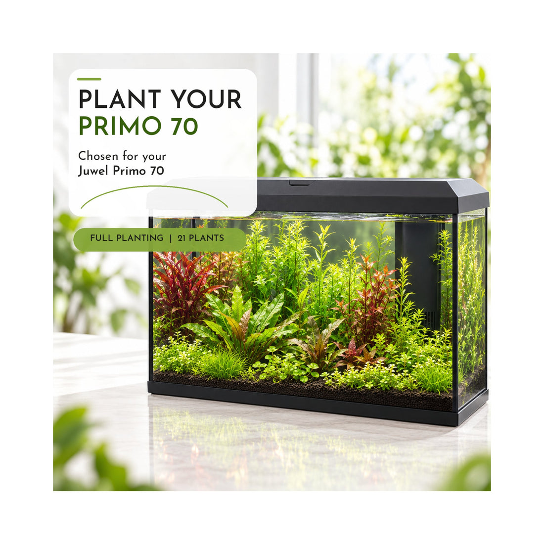 Juwel Primo 70 Aquarium Plant Collection