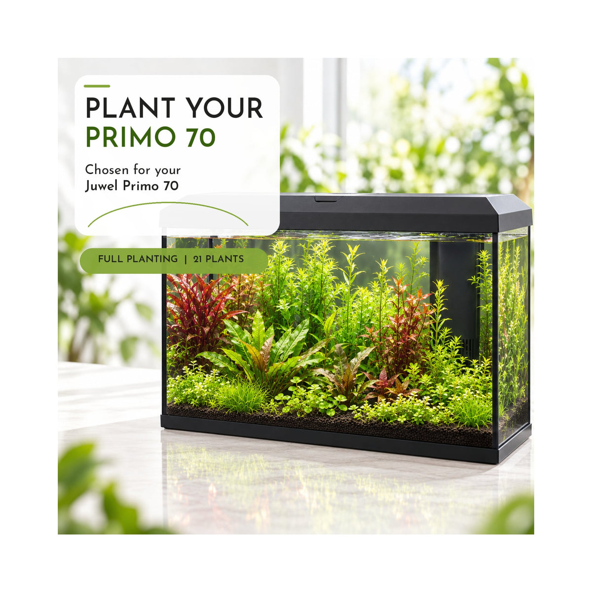 Juwel Primo 70 Aquarium Plant Collection