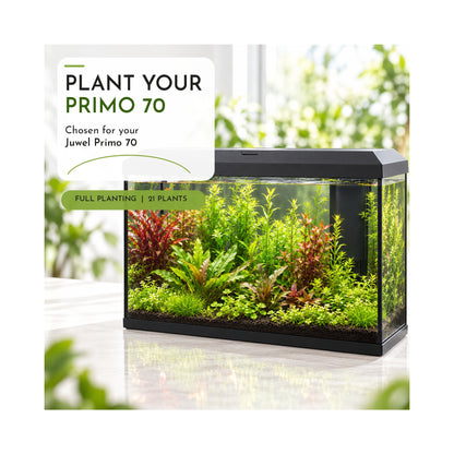 Juwel Primo 70 Aquarium Plant Collection