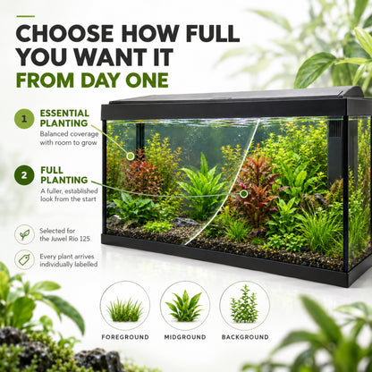 Juwel Rio 125 Aquarium Plant Collection – 20 or 30 Plants