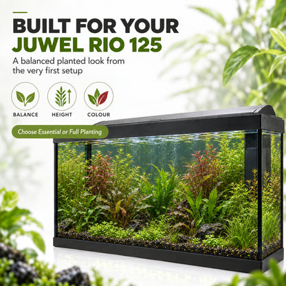 Juwel Rio 125 Aquarium Plant Collection – 20 or 30 Plants