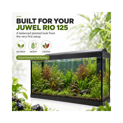 Juwel Rio 125 Aquarium Plant Collection