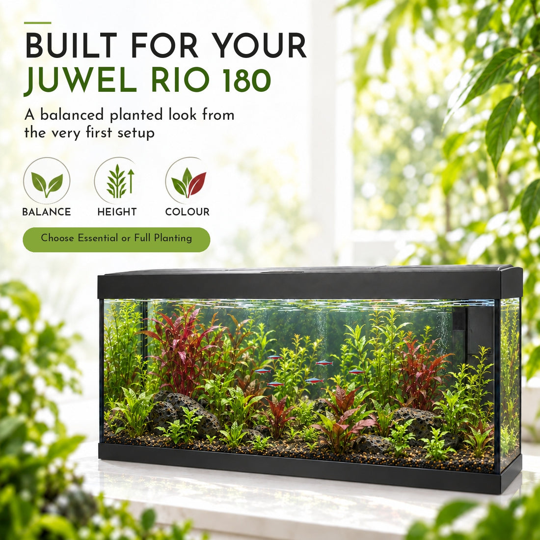 Juwel Rio 180 Aquarium Plant Collection