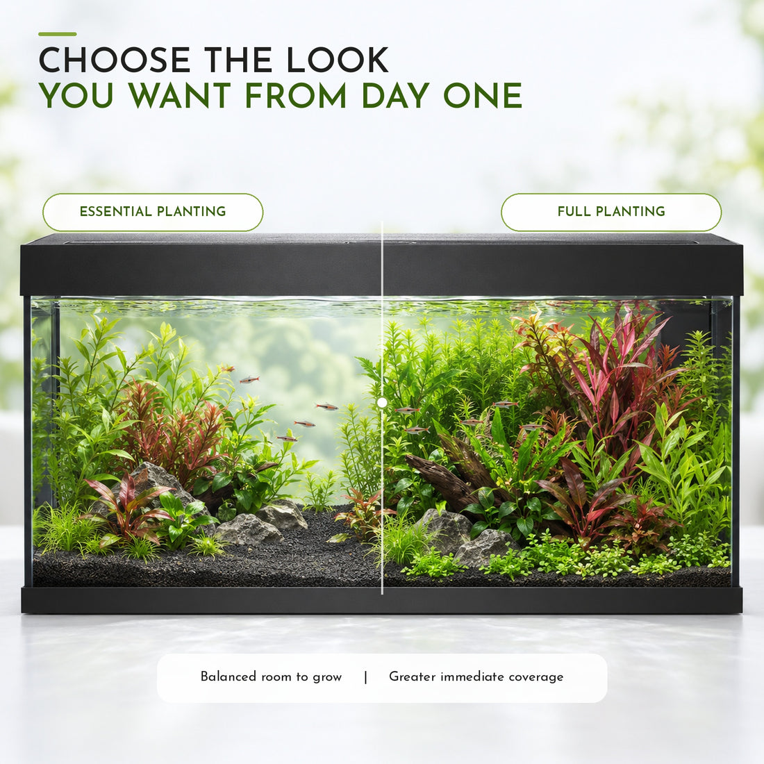 Juwel Rio 180 Aquarium Plant Collection