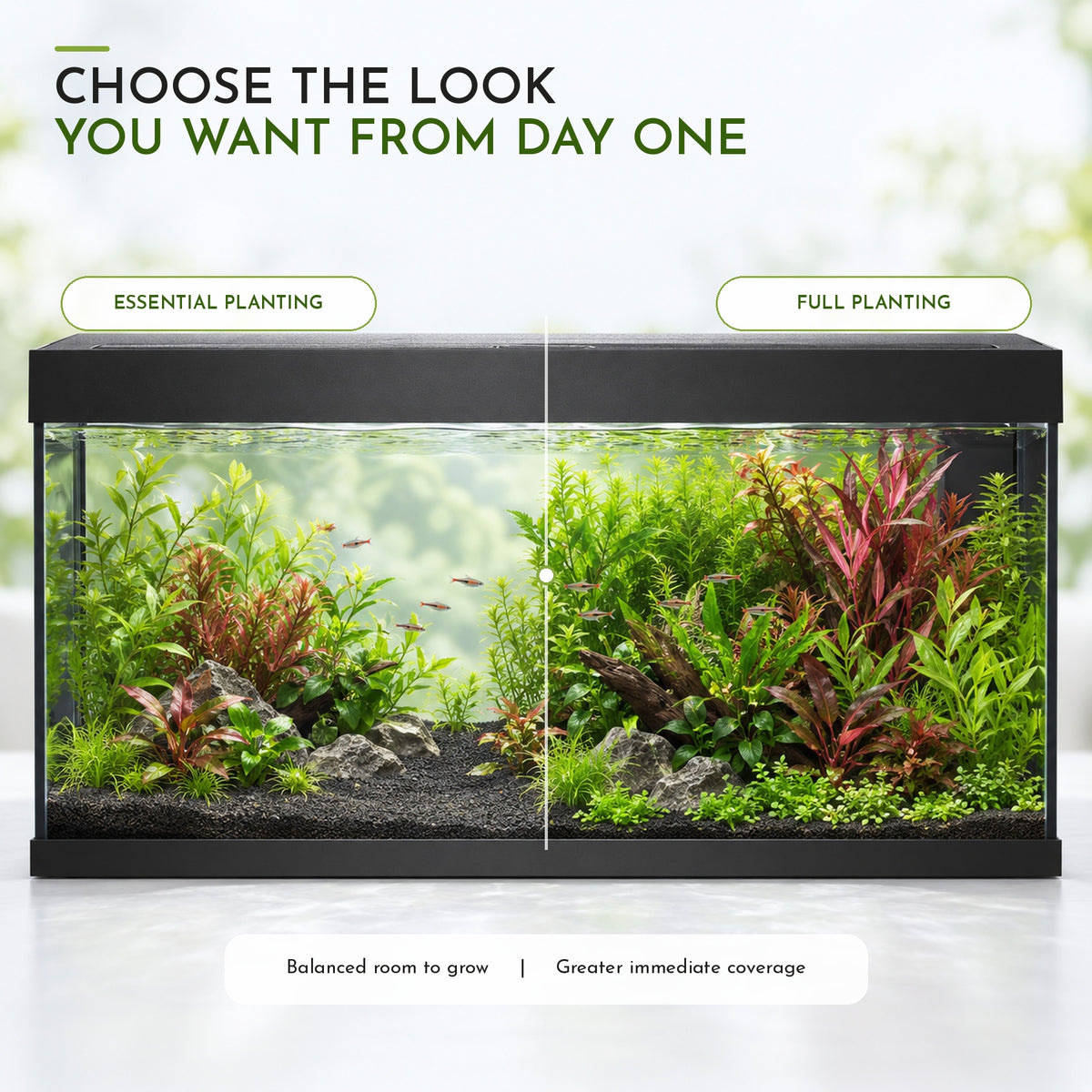 Juwel Rio 180 Aquarium Plant Collection