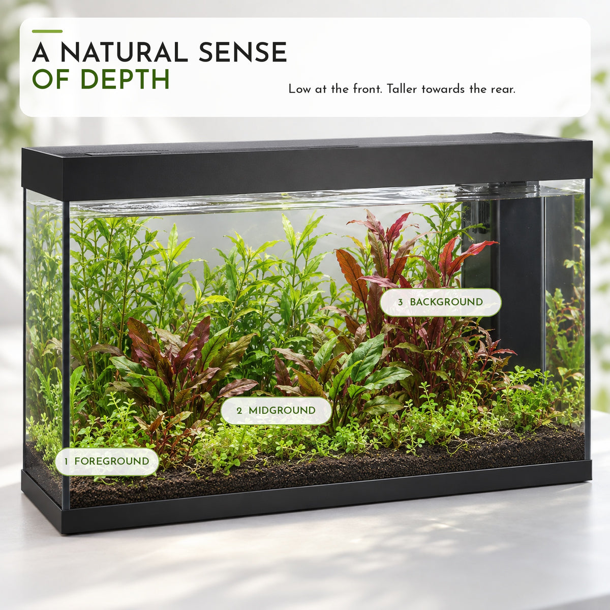 Juwel Rio 180 Aquarium Plant Collection