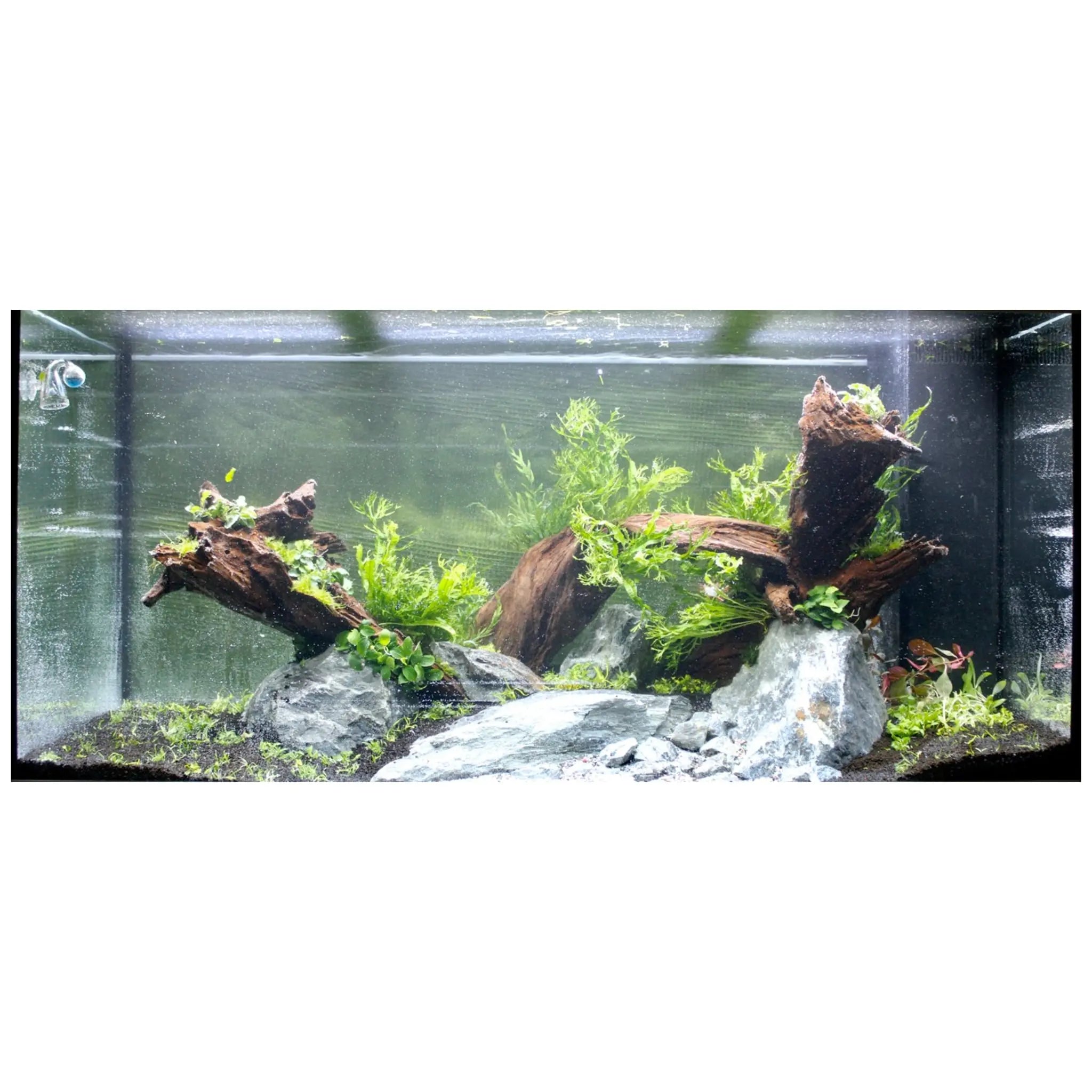 2 feet aquarium decoration best sale