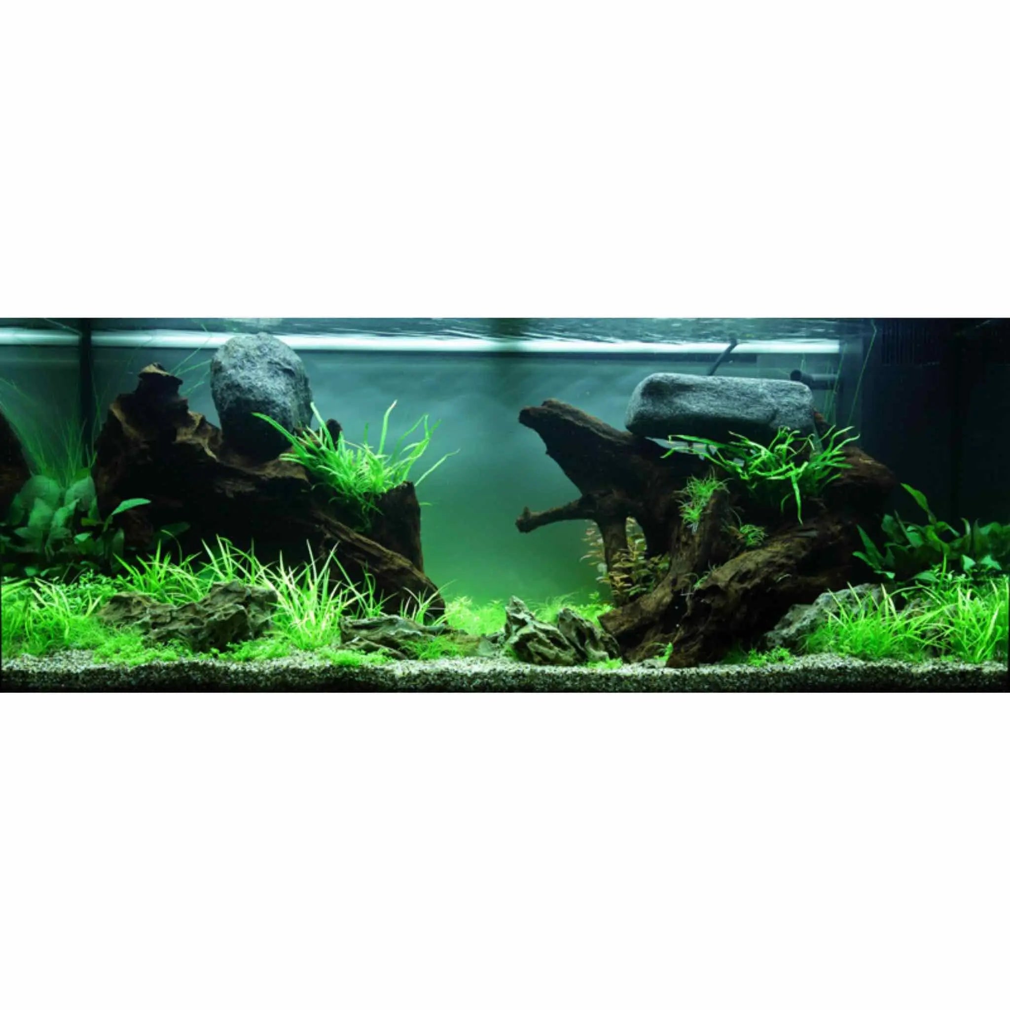 Fish tank supply deals store near me