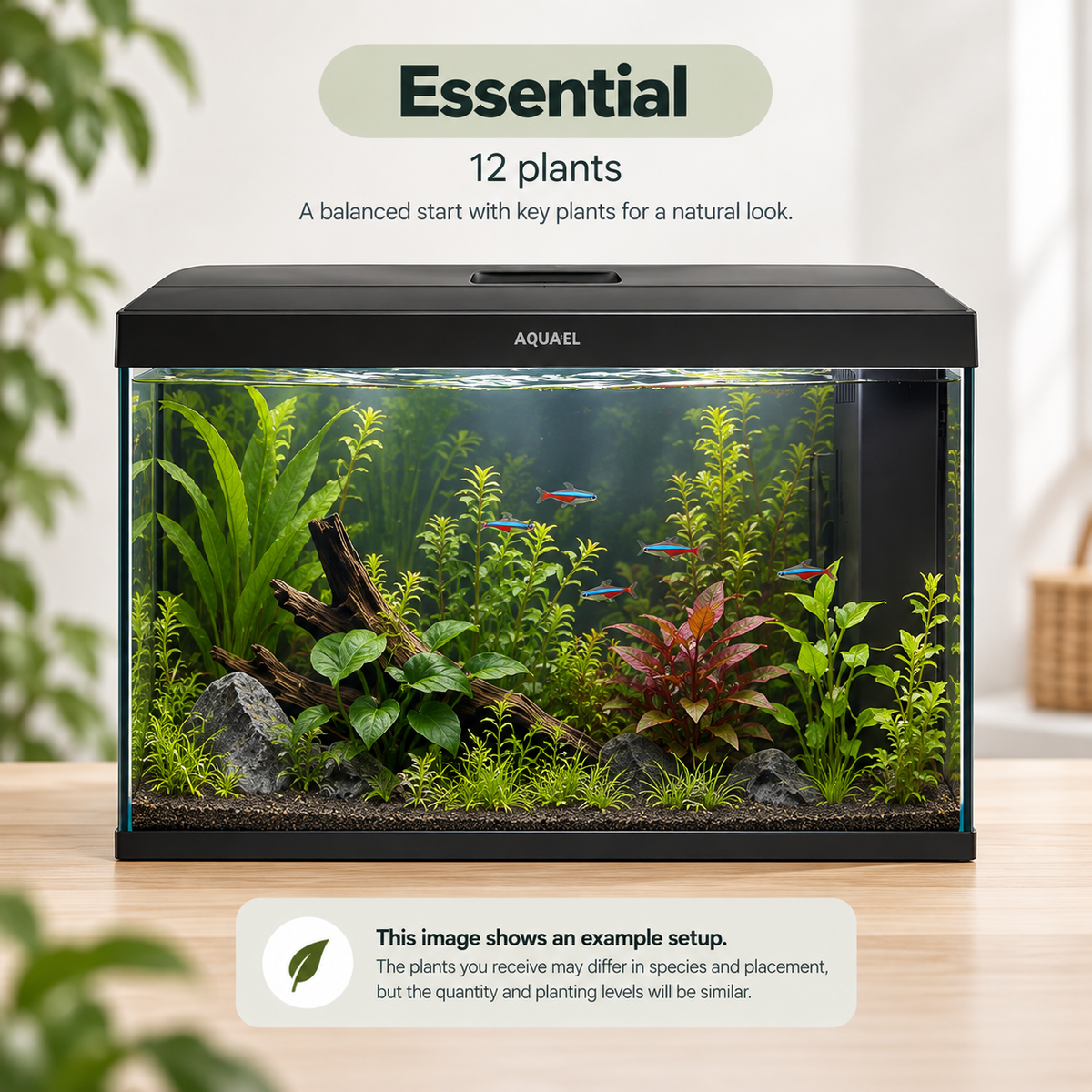 Aquael Leddy 60 Aquarium Plant Collection