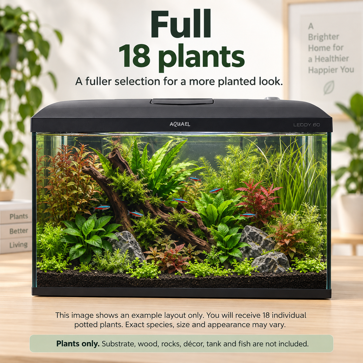 Aquael Leddy 60 Aquarium Plant Collection