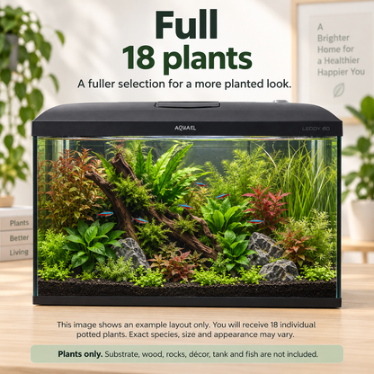 Aquael Leddy 60 Aquarium Plant Collection