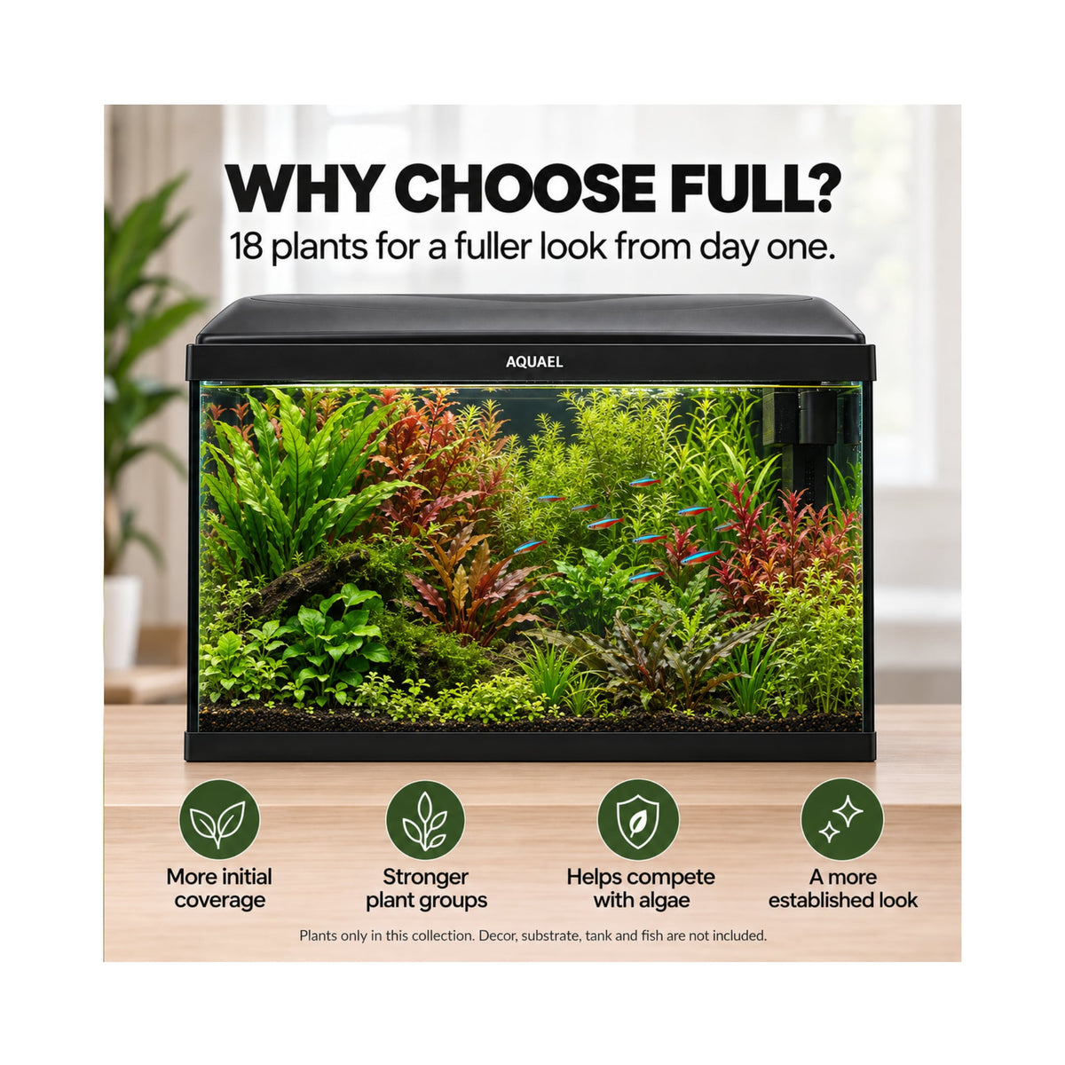 Aquael Leddy 60 Aquarium Plant Collection
